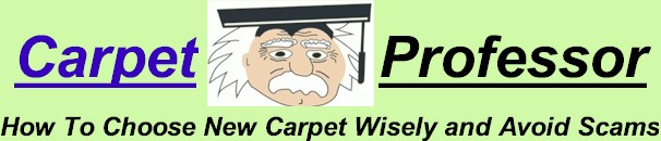 Carpet Professor - carpetprofessor.com