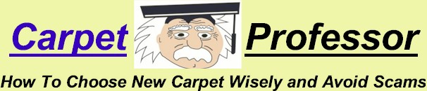 Carpet Professor - CarpetProfessor.com