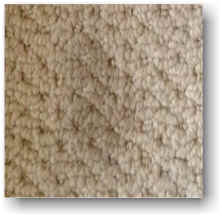 Berber Carpet Stain